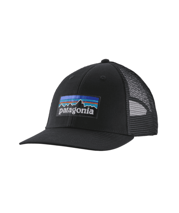 Patagonia P-6 Logo LoPro Trucker Hat 2024 - Image 3