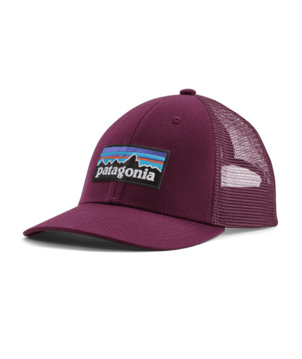 Patagonia P-6 Logo LoPro Trucker Hat 2024 - Image 2
