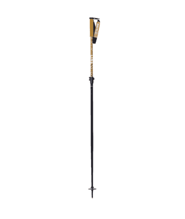 Line Paintbrush Adjustable Ski Poles 2025