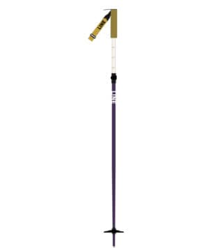 Line Paintbrush Ski Poles 2026