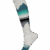 ASH