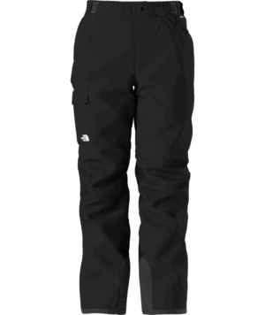 The North Face Freedom Insulated Men's Pants 2026