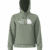 Slate Moss