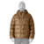 Deer Brown